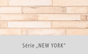 301 - IN101 - Manhattan